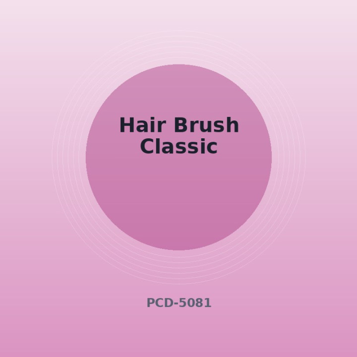 Brosse à cheveux Classique