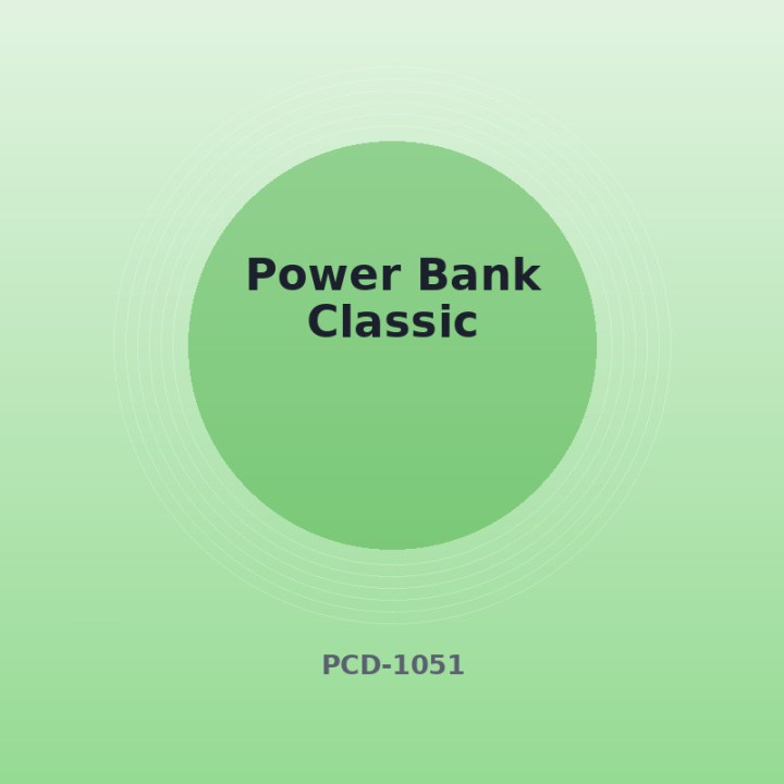 Powerbank Klassisch